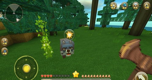 (迷你世界迷宫跑酷长什么样)迷你跑酷世界:在荒野迷宫中挑战极限生存与冒险的刺激体验 (迷你世界迷宫跑酷长什么样)迷你跑酷世界:在荒野迷宫中挑战极限生存与冒险的刺激体验