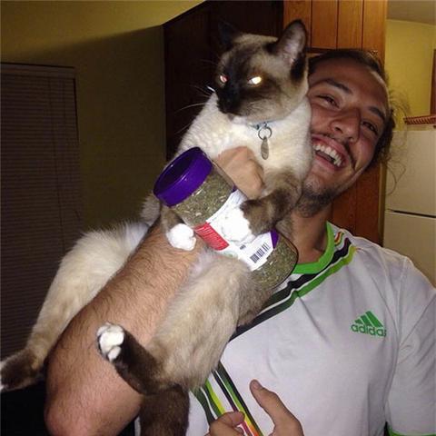 (吸猫会不会对身体不好)每次吸猫都带来意外的感觉，让你沉醉其中无法自拔