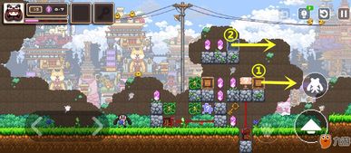 《幻境双生1-3》：双胞胎的奇幻冒险之旅，穿越幻境解开谜团，揭开隐藏的秘密