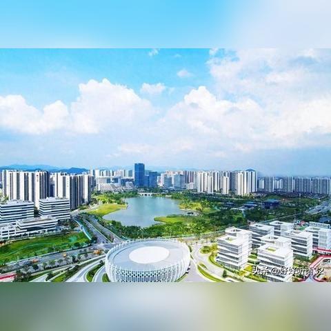 2023澳门开奖记录结果查询|探索城市文化的独特魅力_标准版.3.489